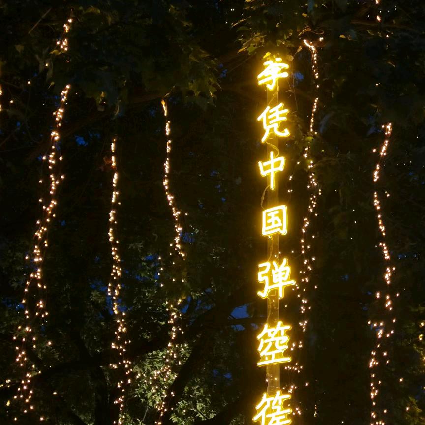孤独的🐺🐺