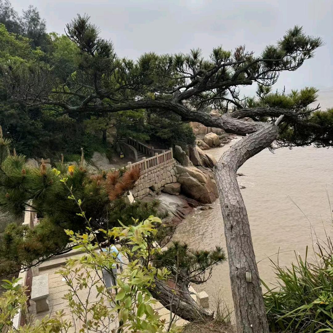 会远家具，，沙发，软床，餐桌1号销售