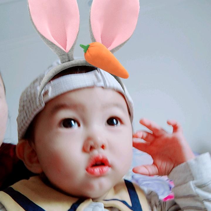 蒲公英71年的猪