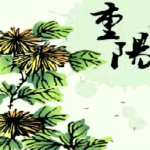 水迹-悠闲逍遥的马