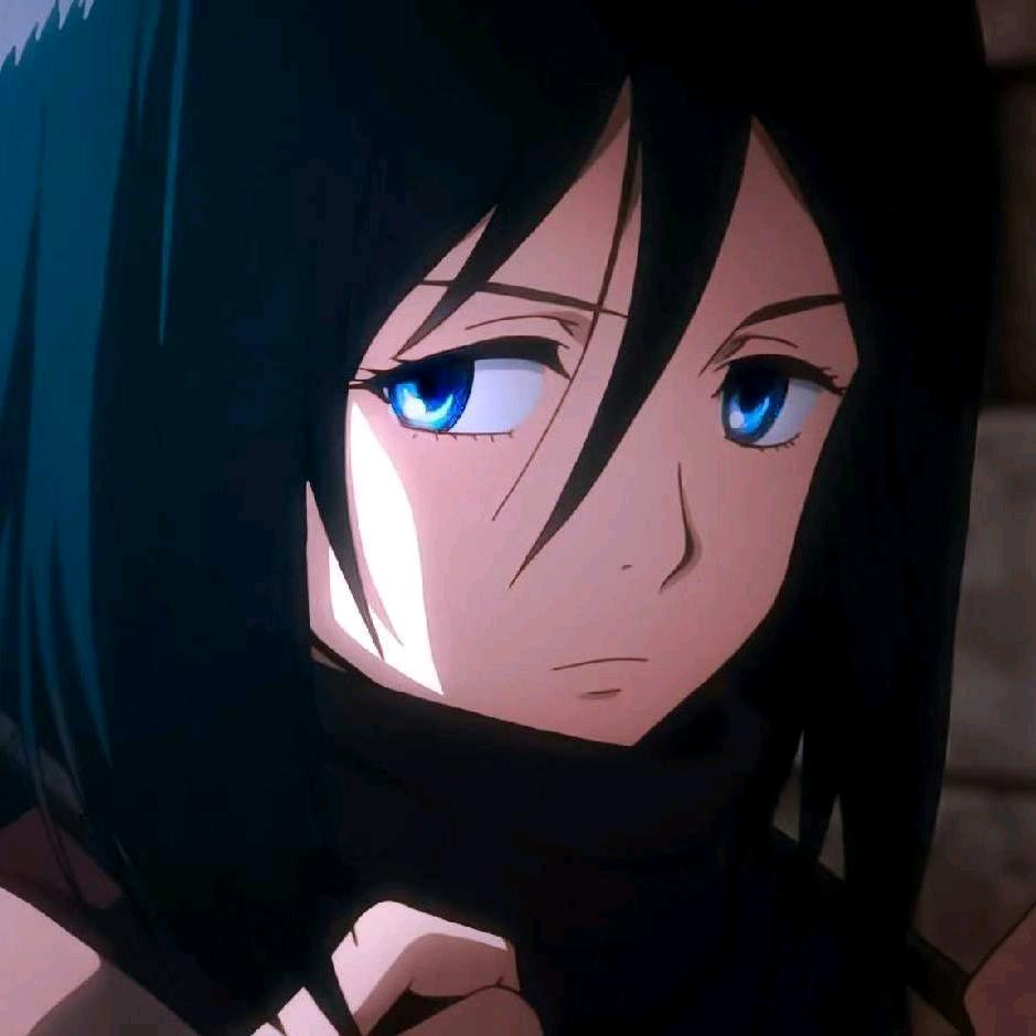 Mikasa
