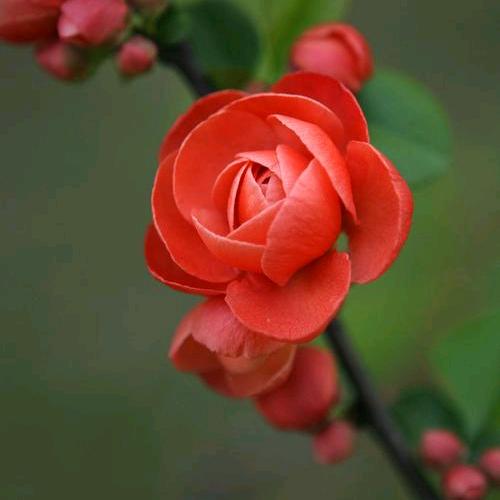 见山见海见自己🌺