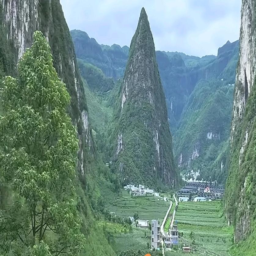 真的好烦人！