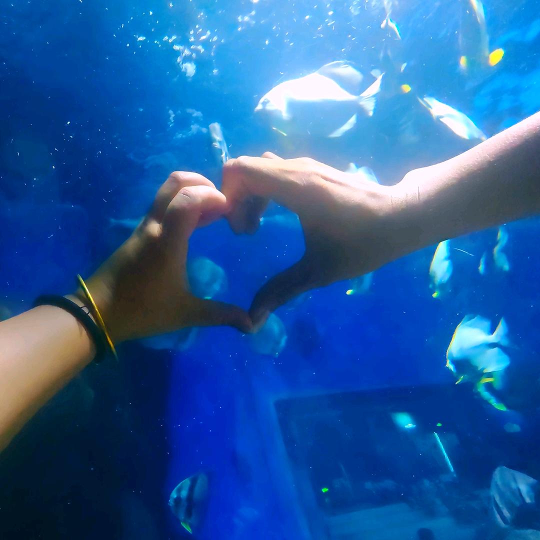 李家姑娘摆摊中