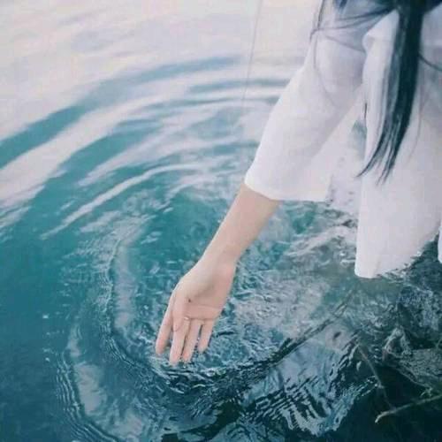 花语飘香