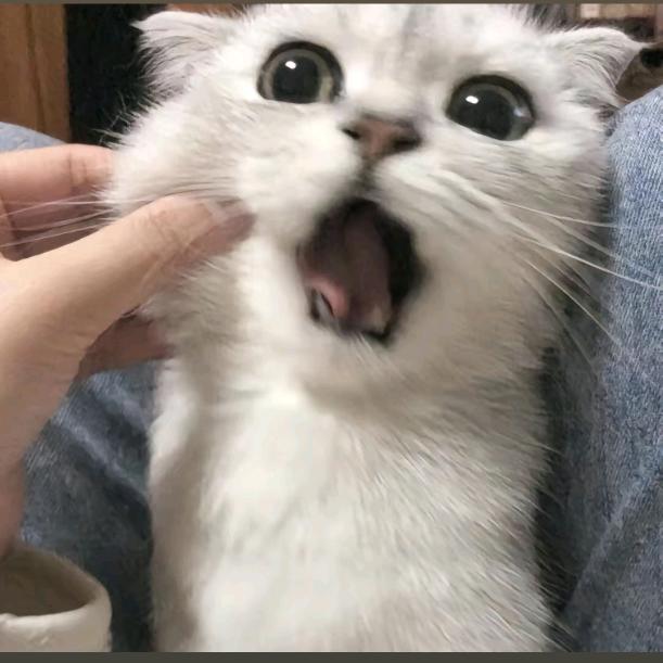 大强