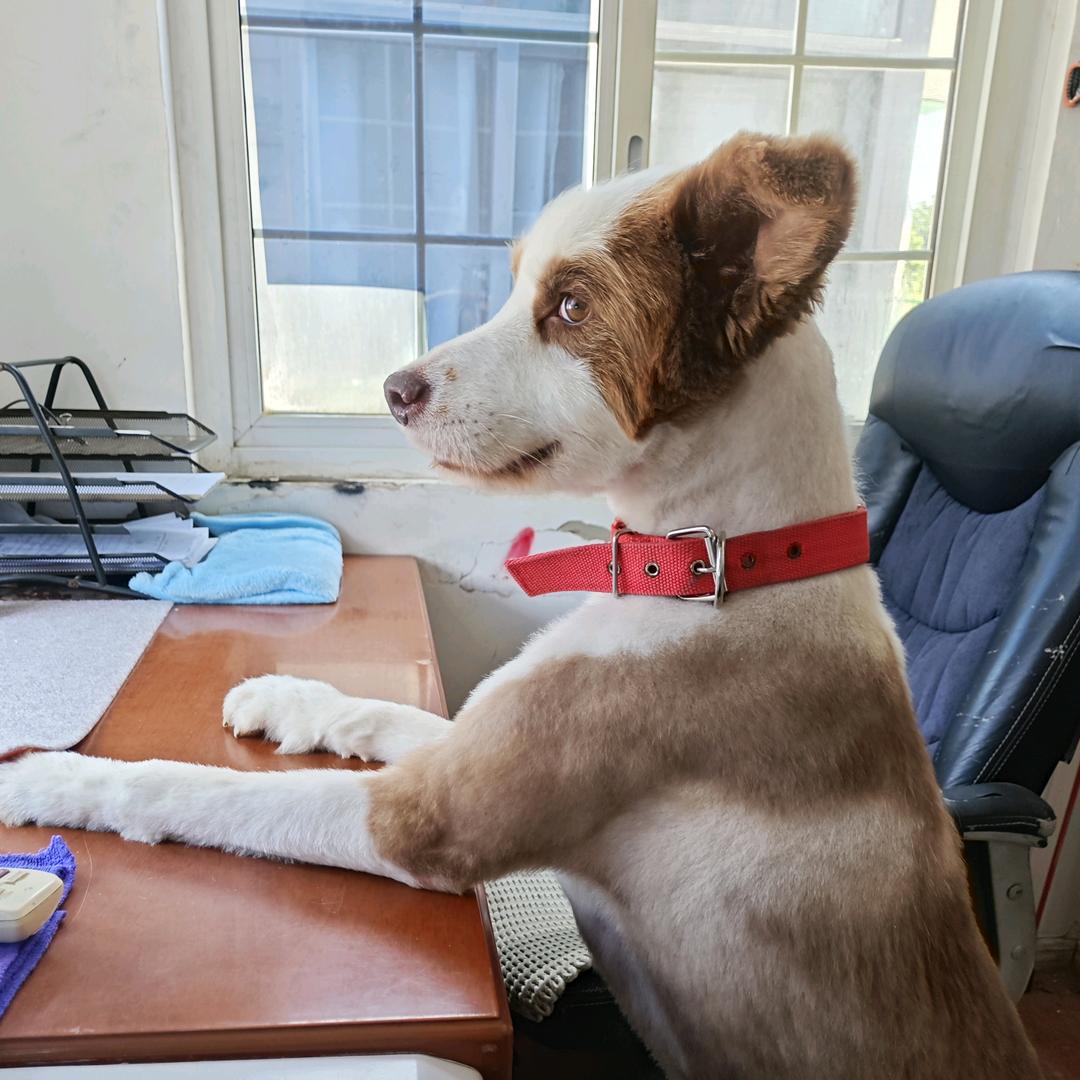 无聊人生    道心破碎