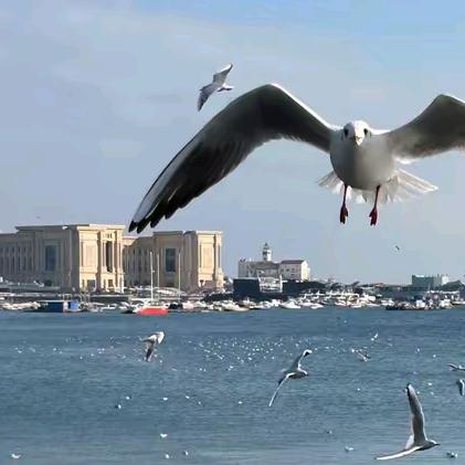 啦啦啦德玛西亚