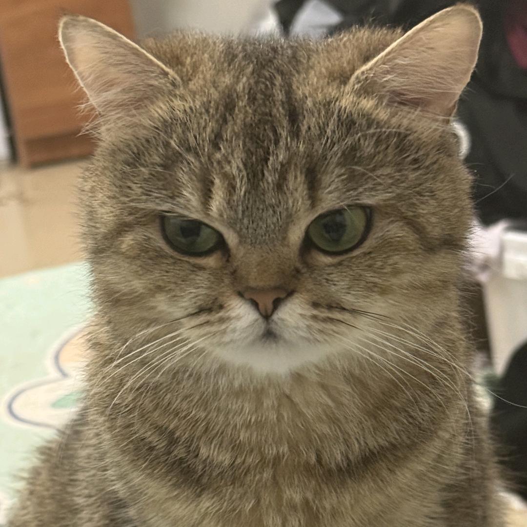 程柳仁w🥺