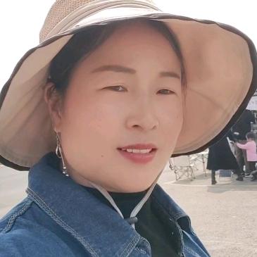 大量收购油菜籽