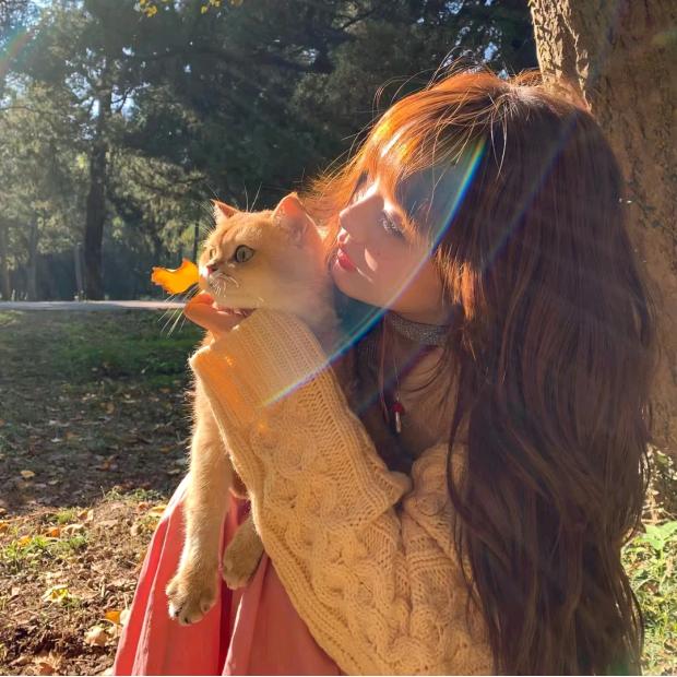 是欢歡吖！（赚钱版）