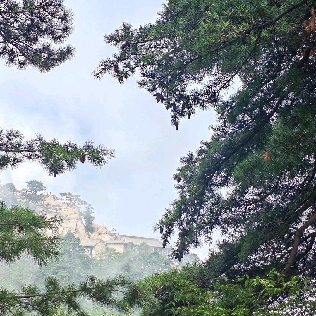 🌷嗯嗯
