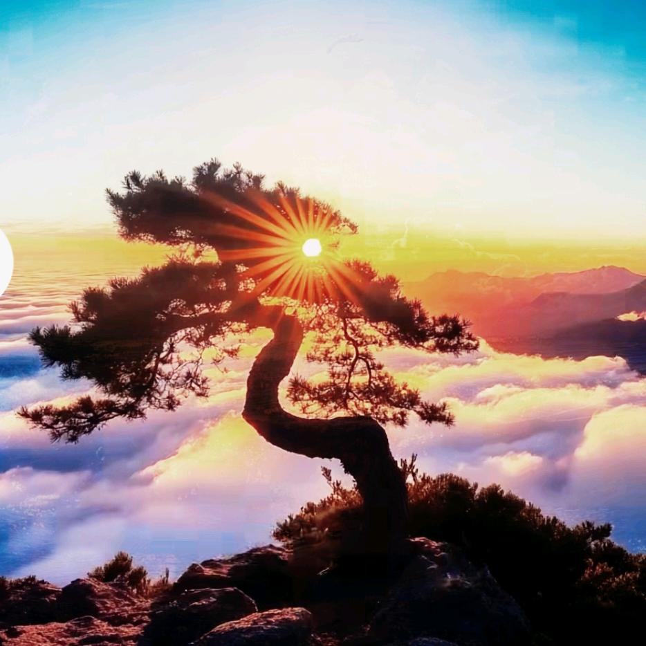 大邱庄祥景园超市