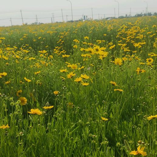 天使代理0000000000000001