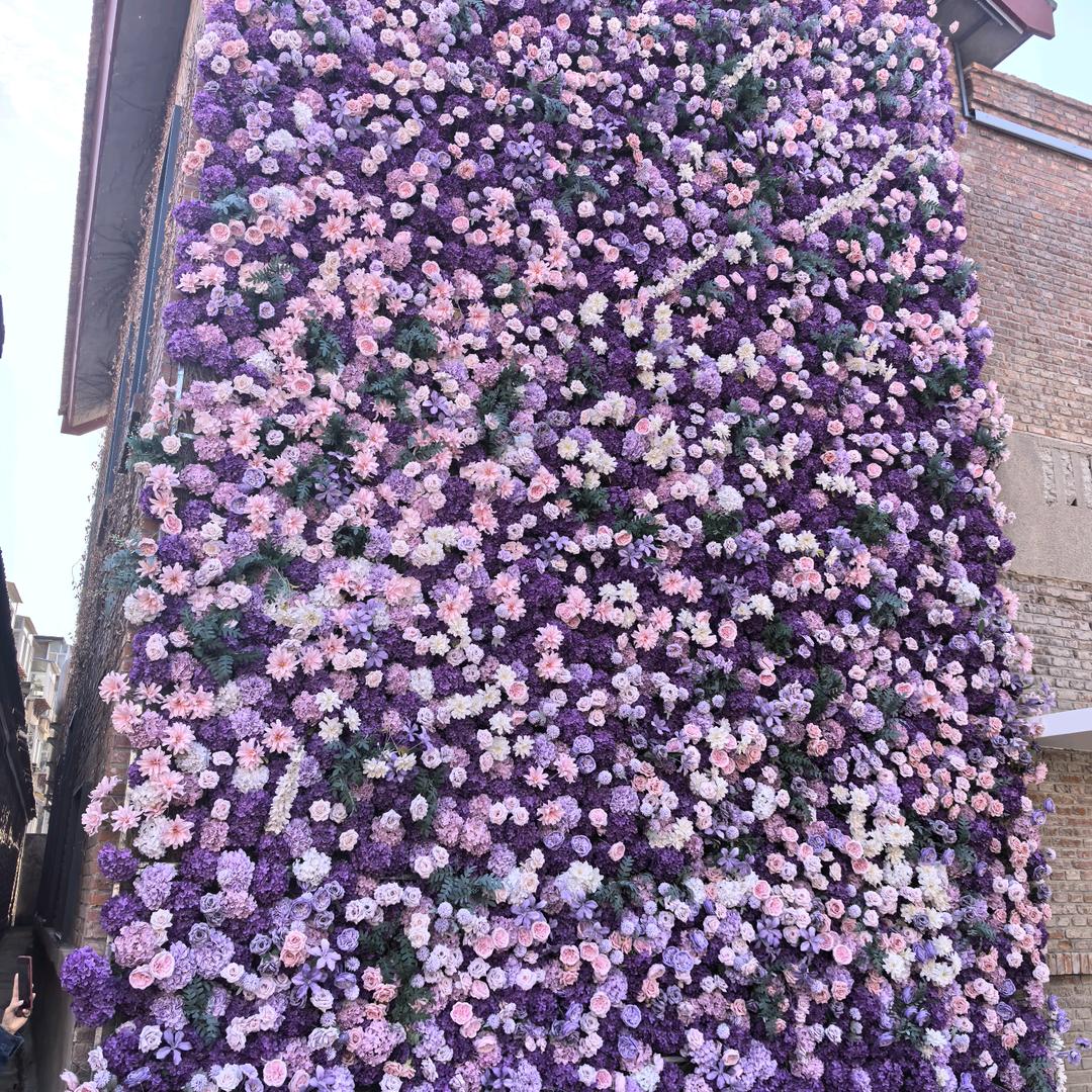 顺智慧