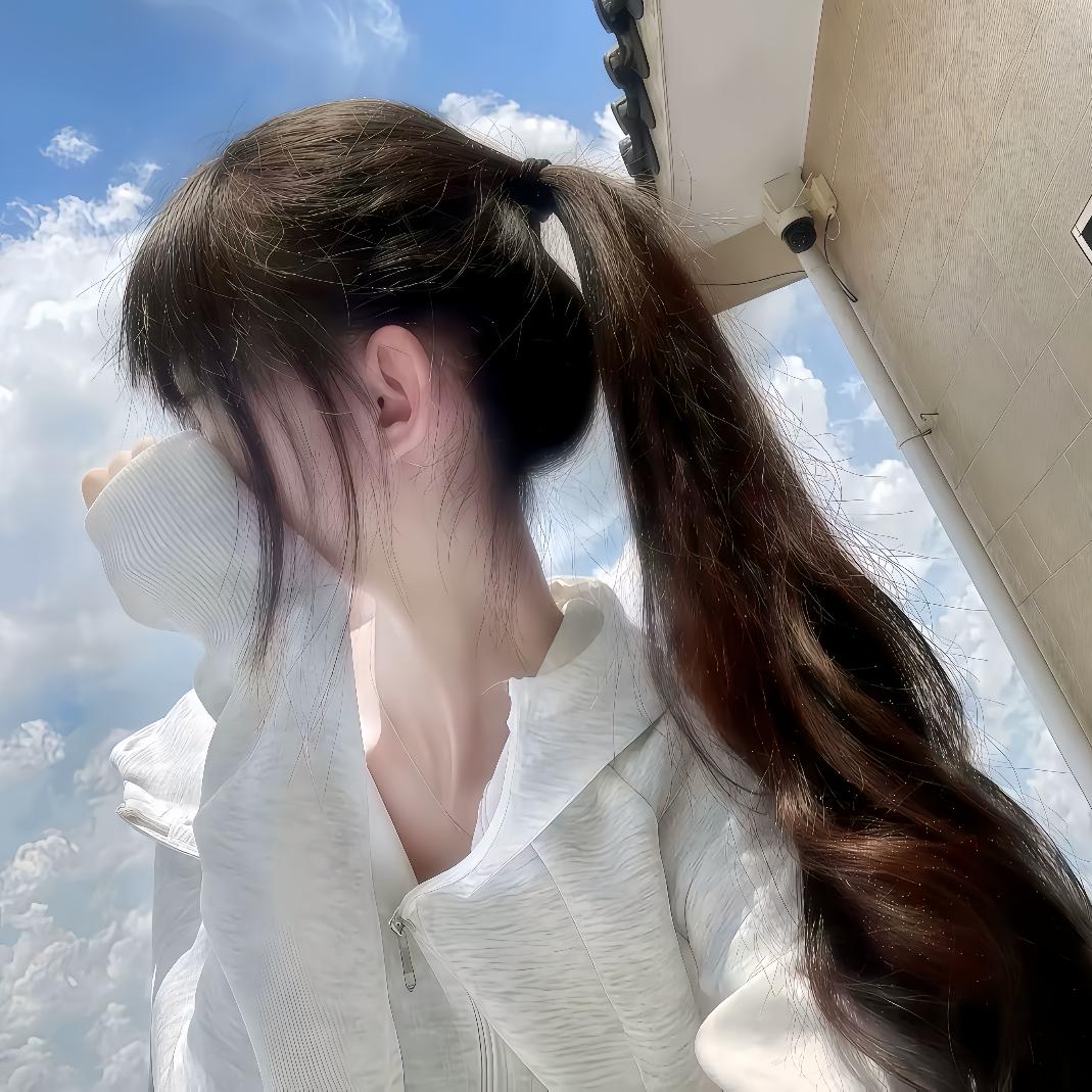 六六