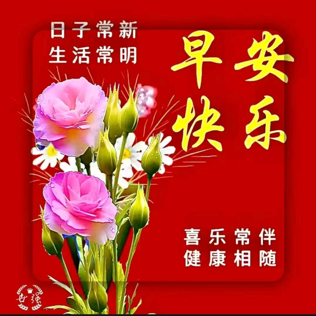 晟姐