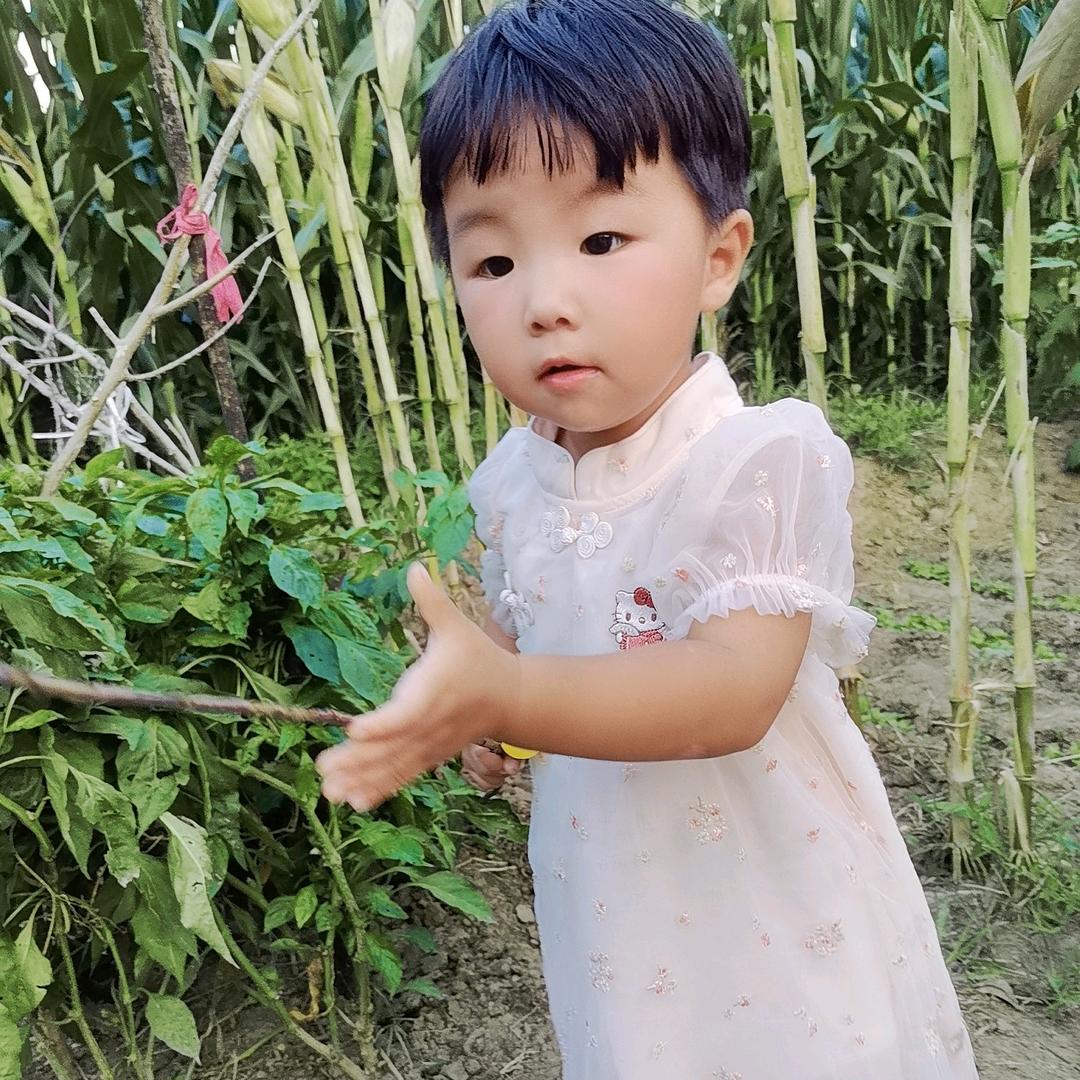 暖心向阳☀