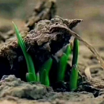 用户9152558585145韩军