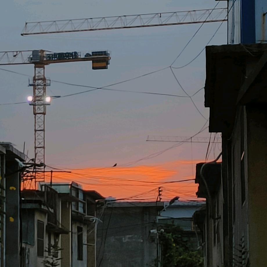 朱胖胖不会网前🏸