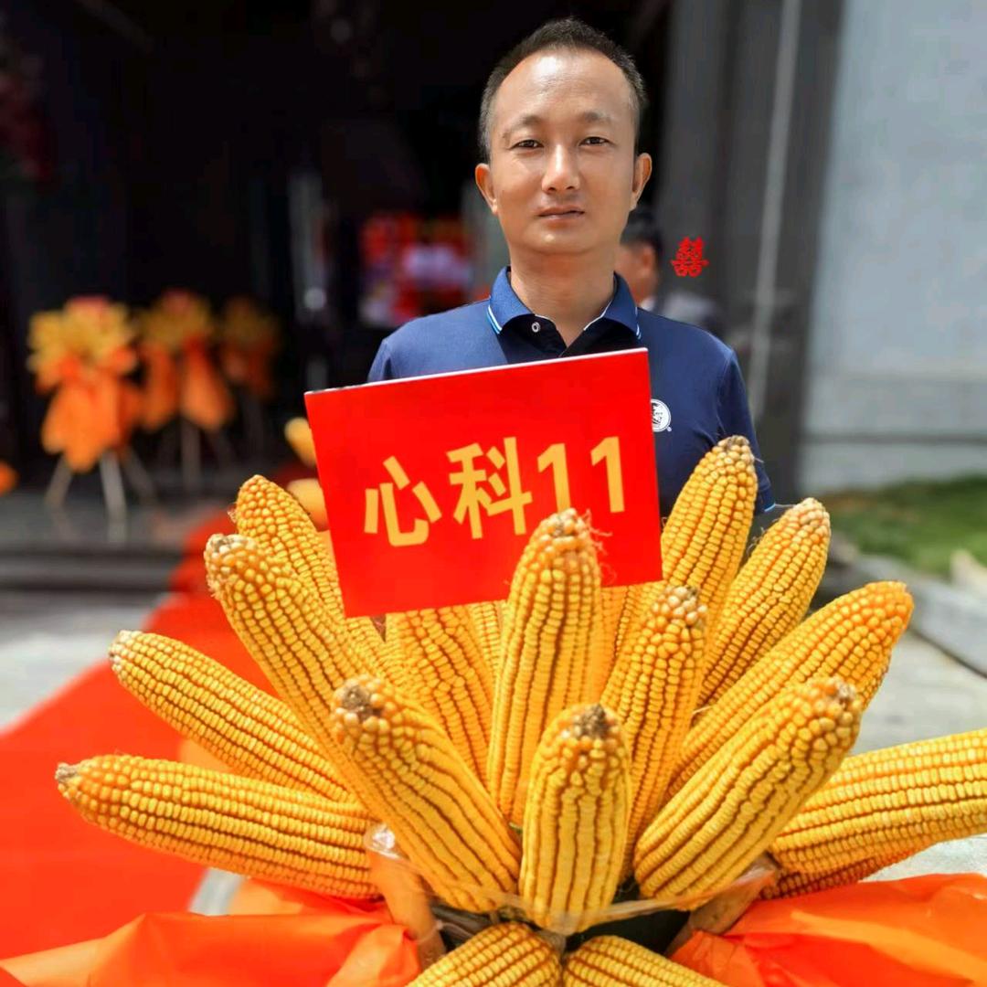 杨绍银