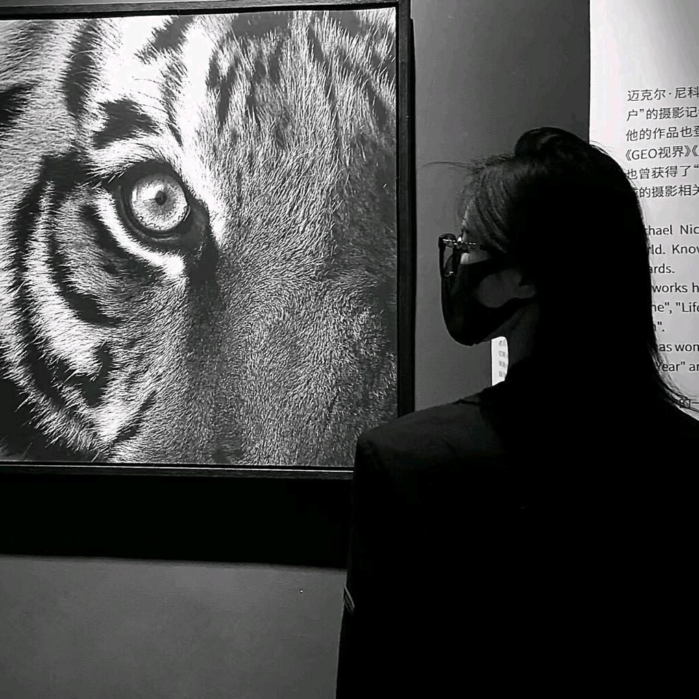 李想