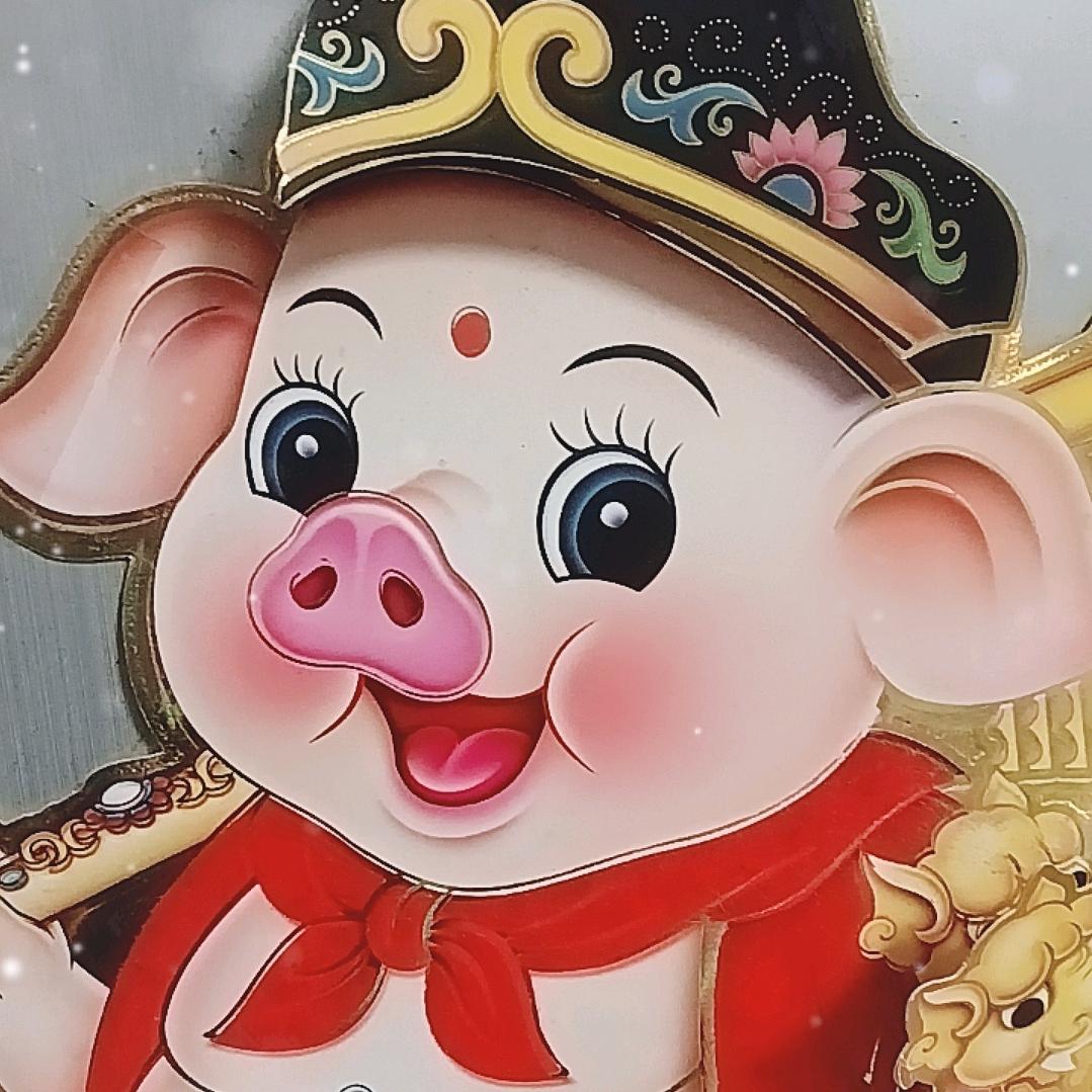 优秀的人关注我！