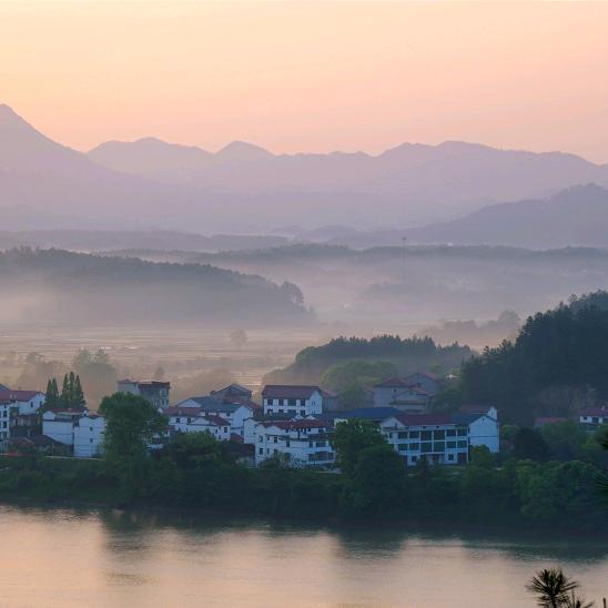 丁子（双胞胎）