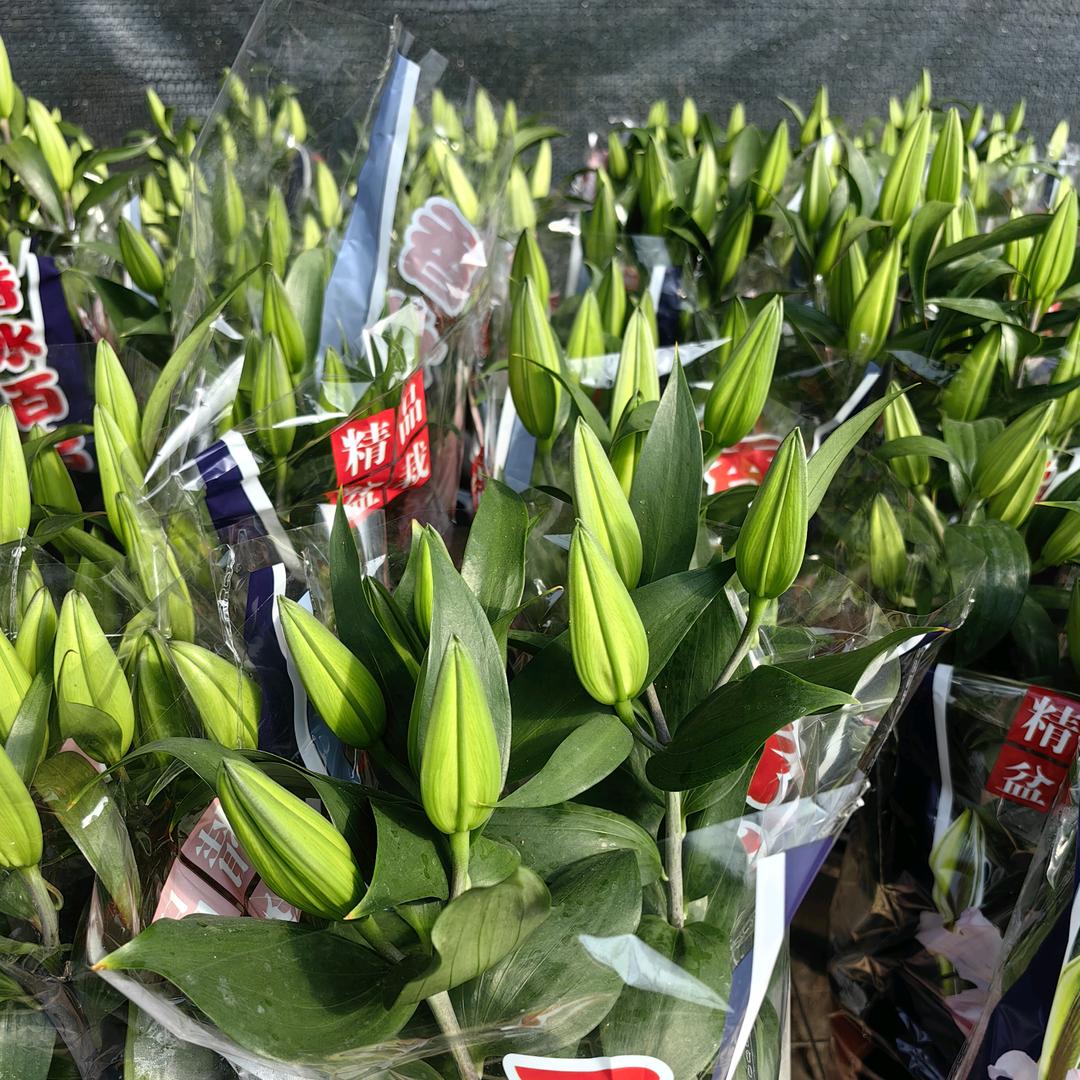 鑫鑫精品花坊。