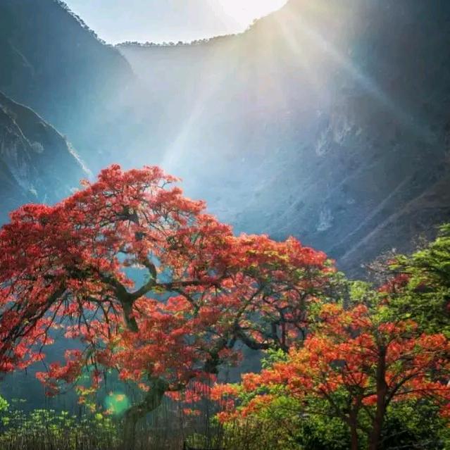 A小成宜春万载服装批发