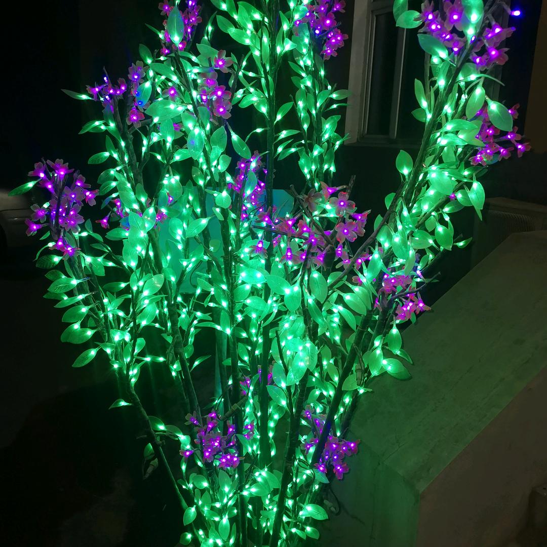 🌈天南星🌹❤️