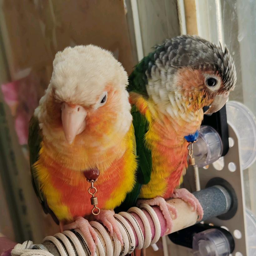 🍀🐲🐉一生有你🐉🐲🍀