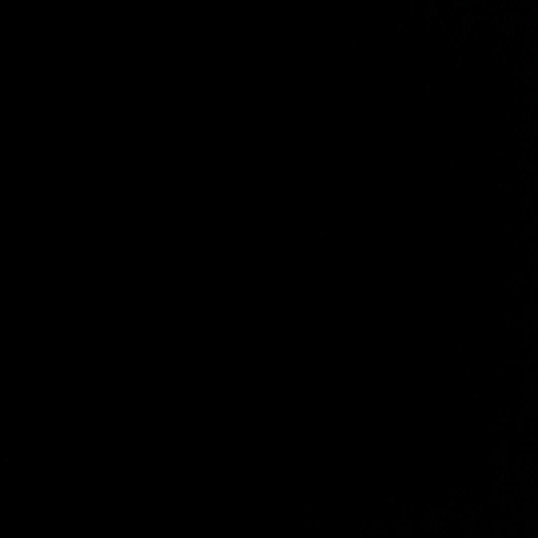 🐾蓝♻️鲸🐾