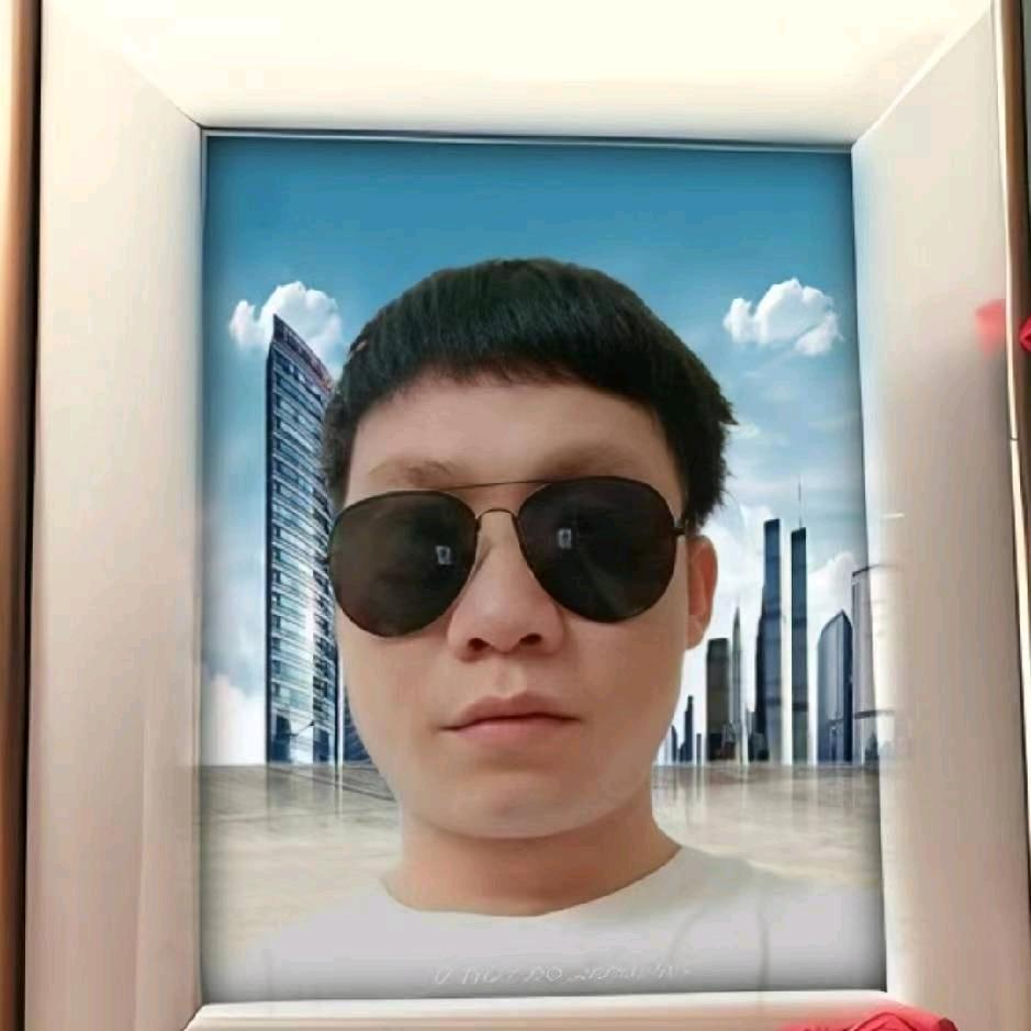 小杨🌲