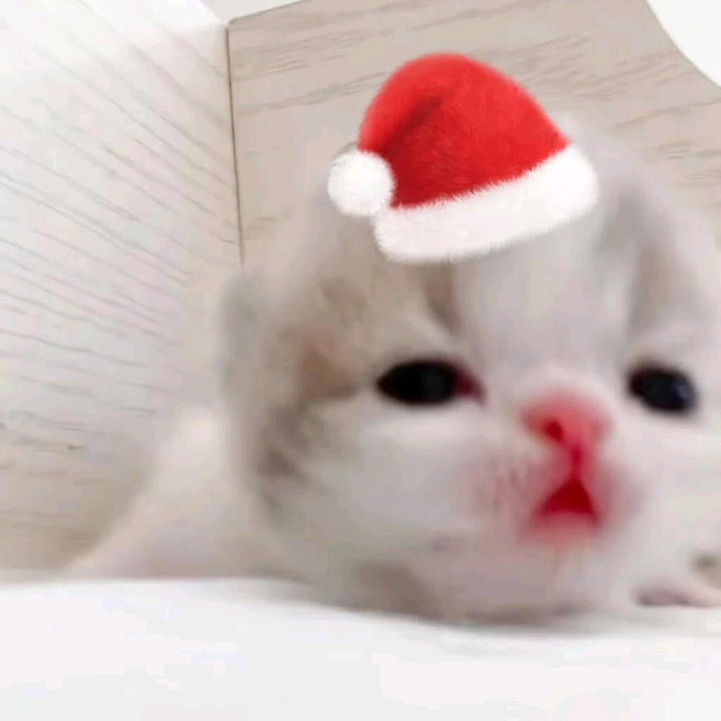 雪色愈合