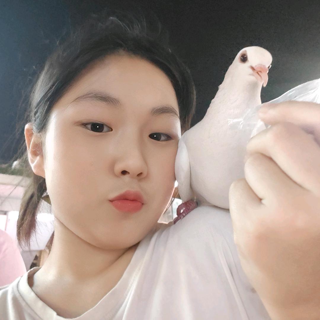 掇莱