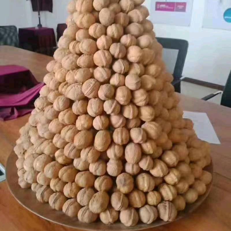 新疆核桃妹子（小狐狸）