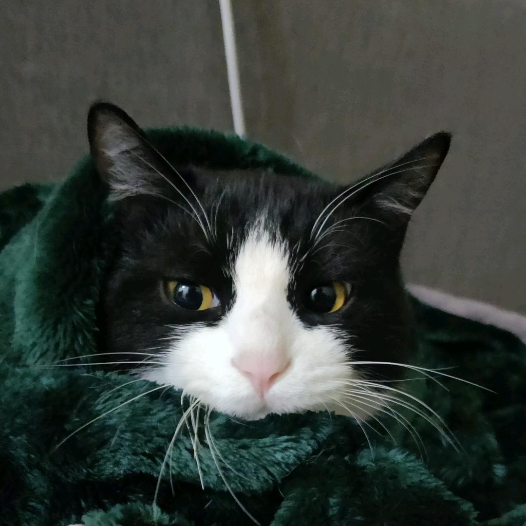 宇宙探索超级无敌巨无霸旋风霹雳口八🦆西