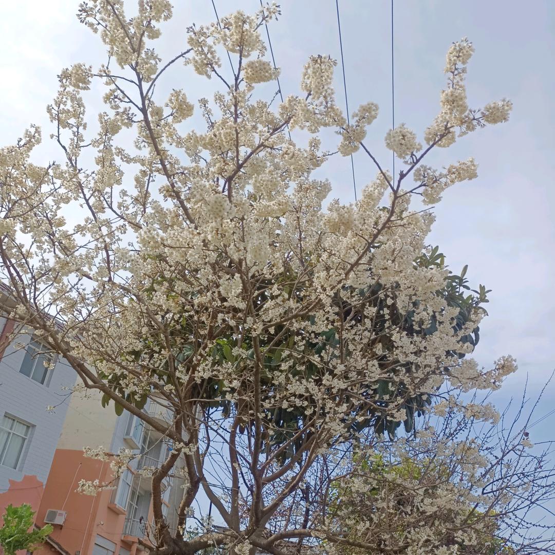 骑着蜗牛去旅行