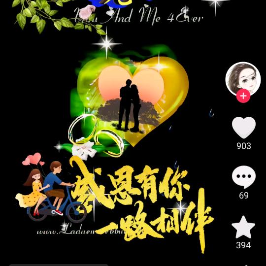 🐂，一如既往🦚