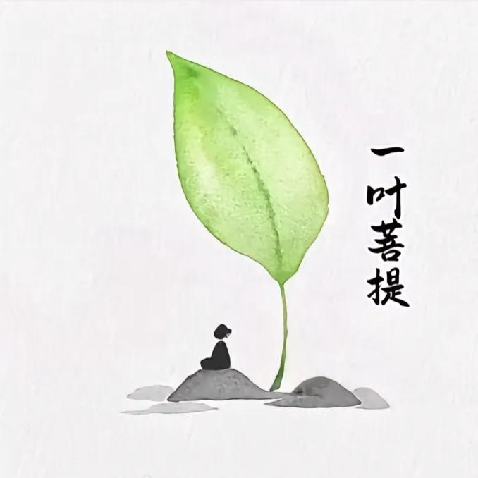 🥀᭄白狐🕊꯭᭄꯭ꦿོ