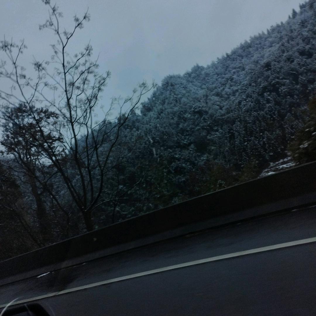 伤你最深的人。永远是最亲的人。