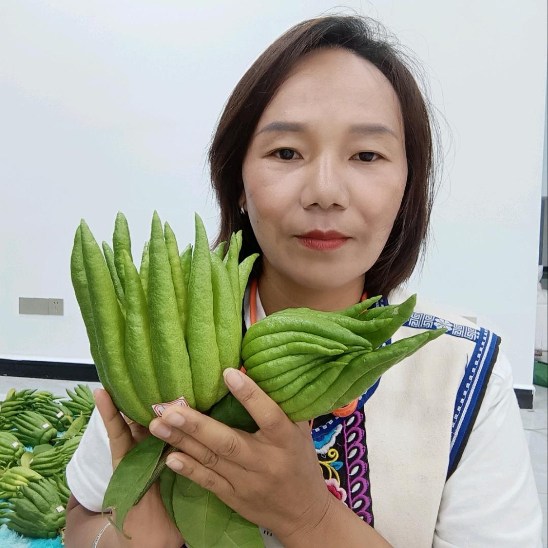 农村王姐佛手香橼绿植鲜花店