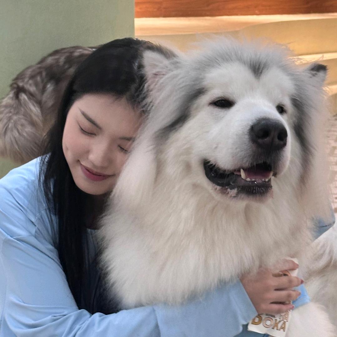 有志不在年糕