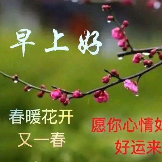 缘杰奶奶