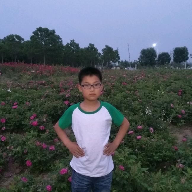 雄鹰在飞翔