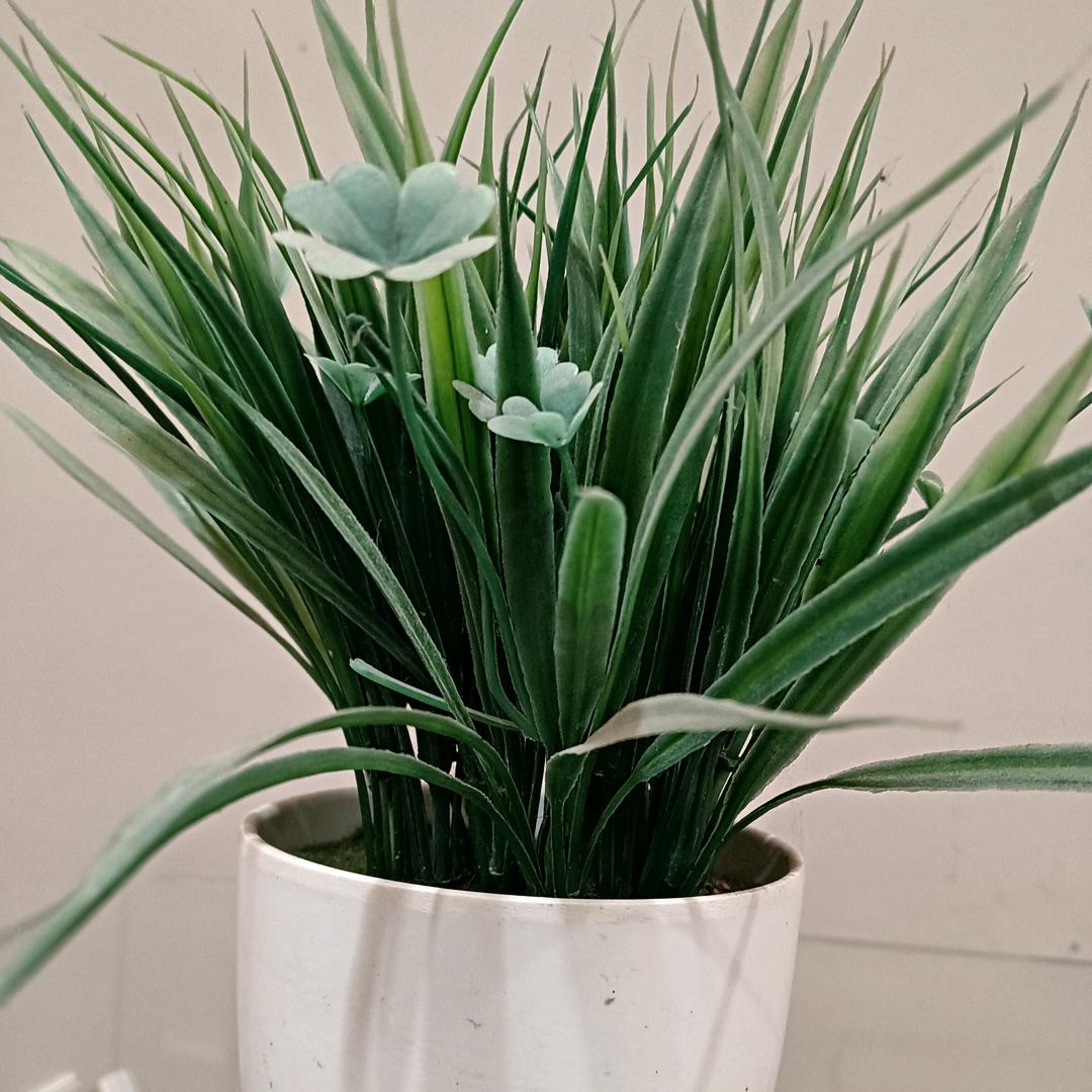 中国梦678954321👗👗🎒🎒