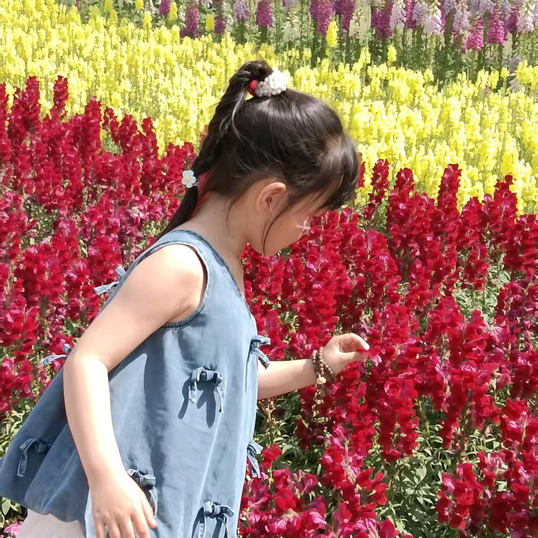 洋洋姐