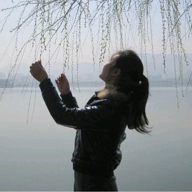 榆荚