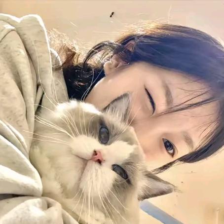 你是我决堤的春天